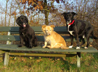 Unsere 3